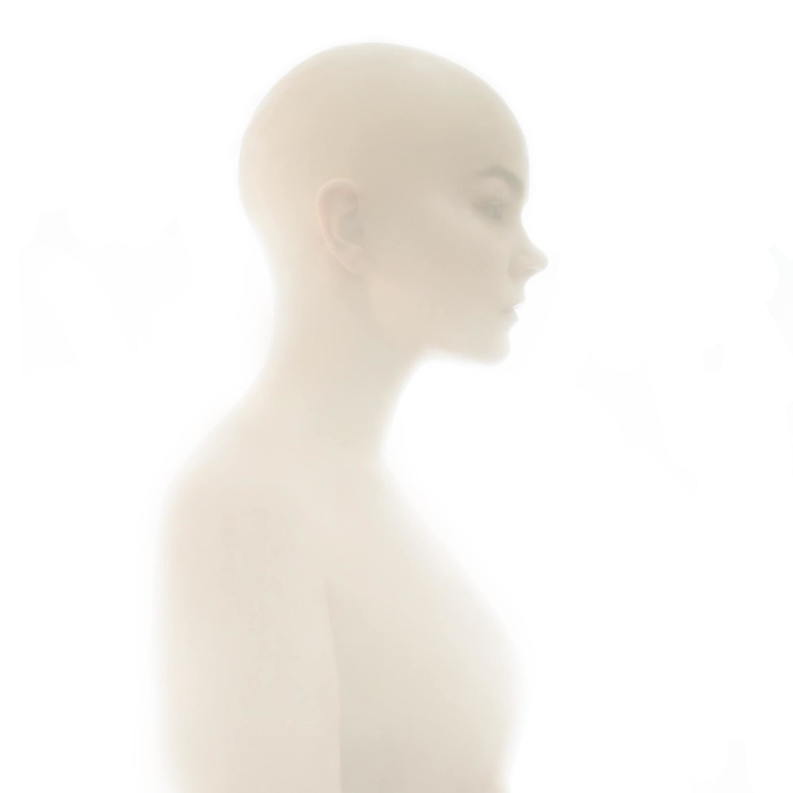 Exklusive Videopremiere: Eveline und „Sexual“